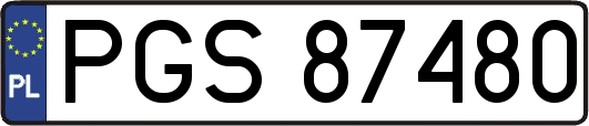 PGS87480