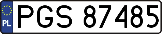 PGS87485