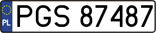 PGS87487