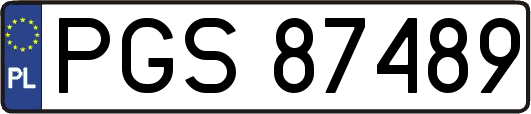 PGS87489