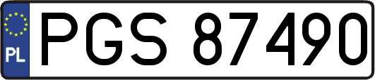 PGS87490