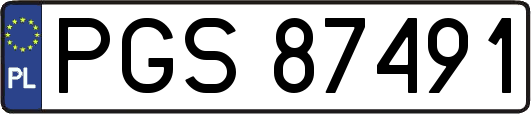 PGS87491