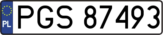 PGS87493