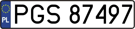 PGS87497