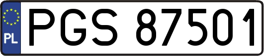 PGS87501