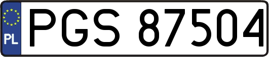 PGS87504
