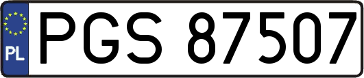 PGS87507