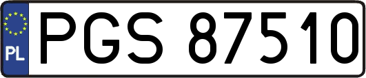 PGS87510