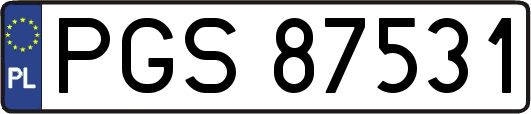 PGS87531