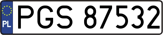 PGS87532