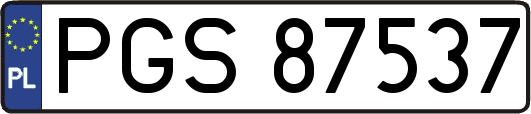 PGS87537