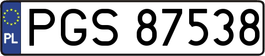 PGS87538