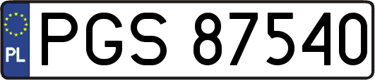 PGS87540