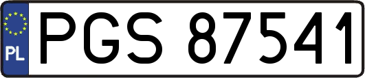 PGS87541