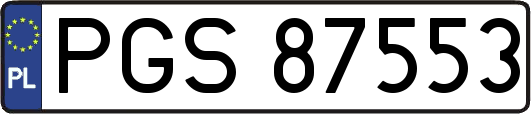 PGS87553