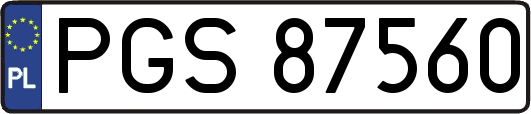 PGS87560