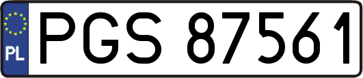 PGS87561