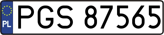 PGS87565