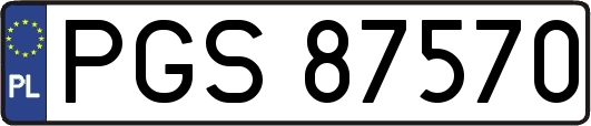 PGS87570