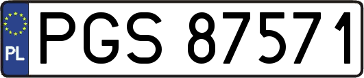 PGS87571