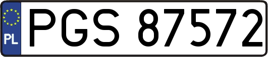 PGS87572