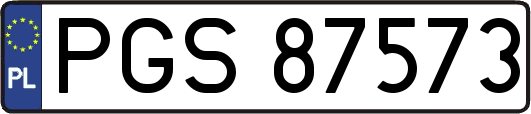 PGS87573