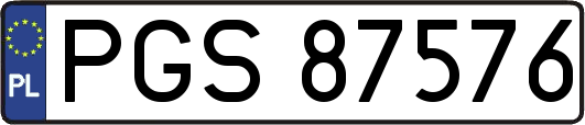 PGS87576