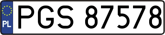 PGS87578