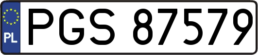 PGS87579
