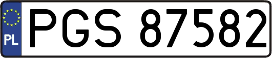 PGS87582