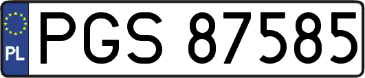 PGS87585