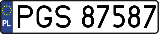 PGS87587