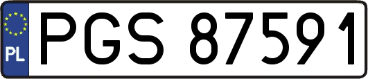 PGS87591