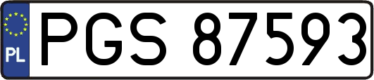 PGS87593