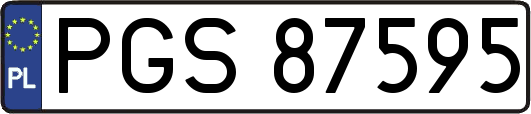 PGS87595