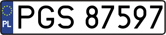 PGS87597