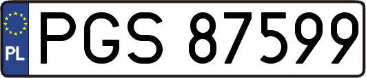 PGS87599