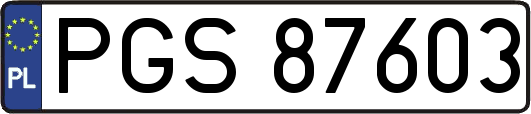 PGS87603
