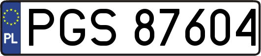 PGS87604