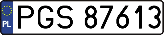 PGS87613