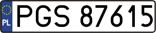 PGS87615