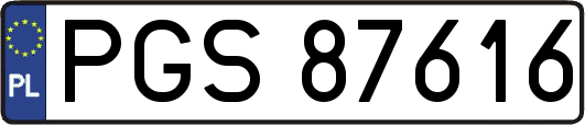 PGS87616