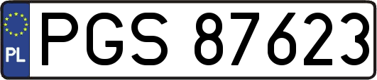 PGS87623