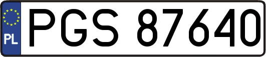 PGS87640