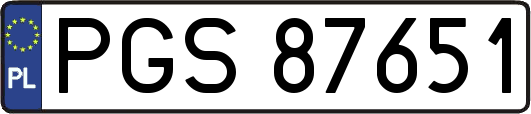 PGS87651