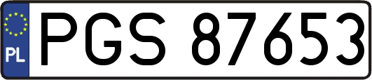 PGS87653