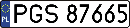 PGS87665