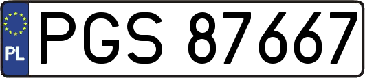 PGS87667