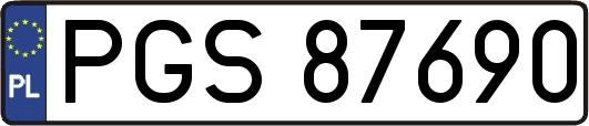 PGS87690