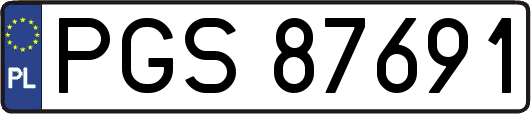 PGS87691
